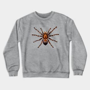 spider Crewneck Sweatshirt